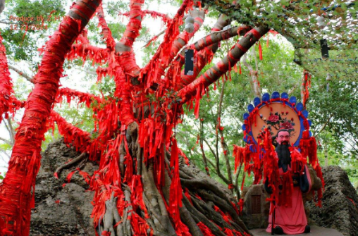 2018年月老下凡送桃花,幸福降临的生肖 生肖运势
